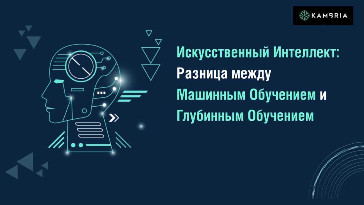Аменсализм это - кратко и понятно с примерами