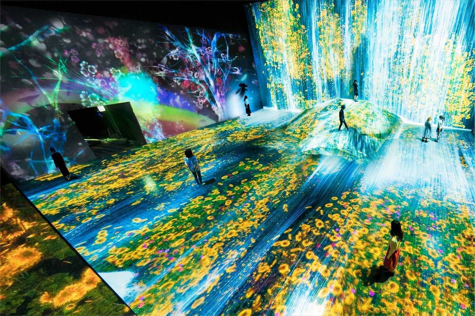 Teamlab bordeless (mori building digital art museum) - an invitation to dream awake in tokyo