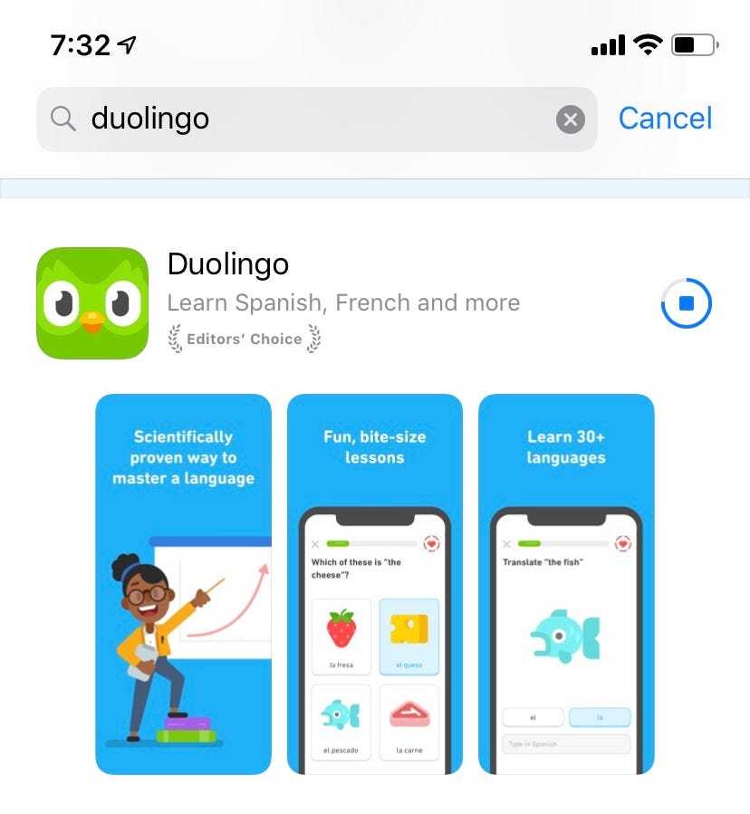 How the duolingo owl became a social media darling - writer