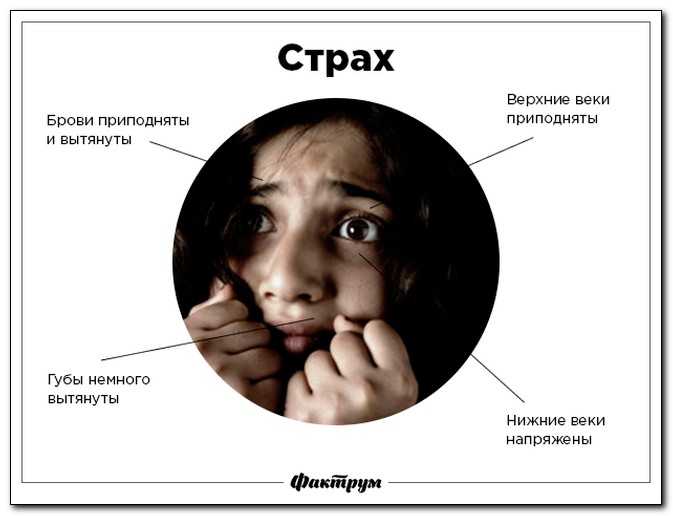 Как успокоиться перед публичным выступлением или переговорами