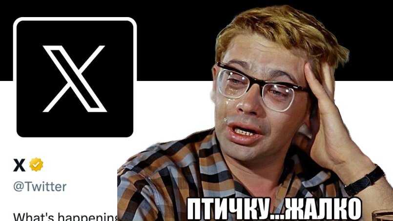 Маск поставил на twitter* крест. зачем соцсеть меняет логотип