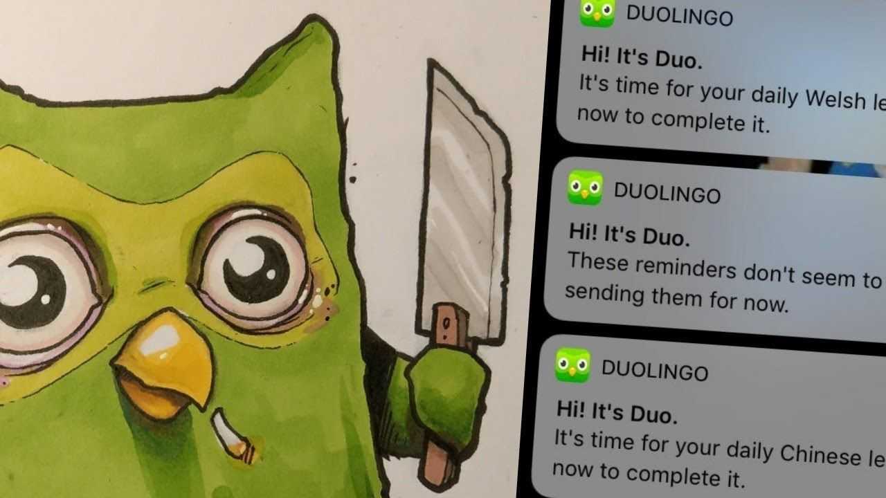 Что и как duolingo работает для школ? - знакомьтесь, duolingo для школ