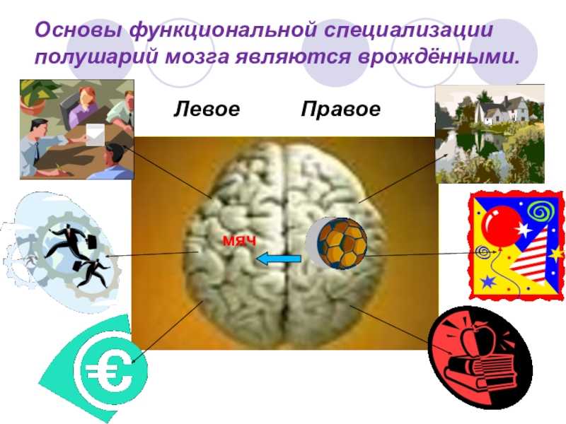 Правополушарные и левополушарные люди. чем отличается левополушарное мышление от правополушарного? | психология отношений