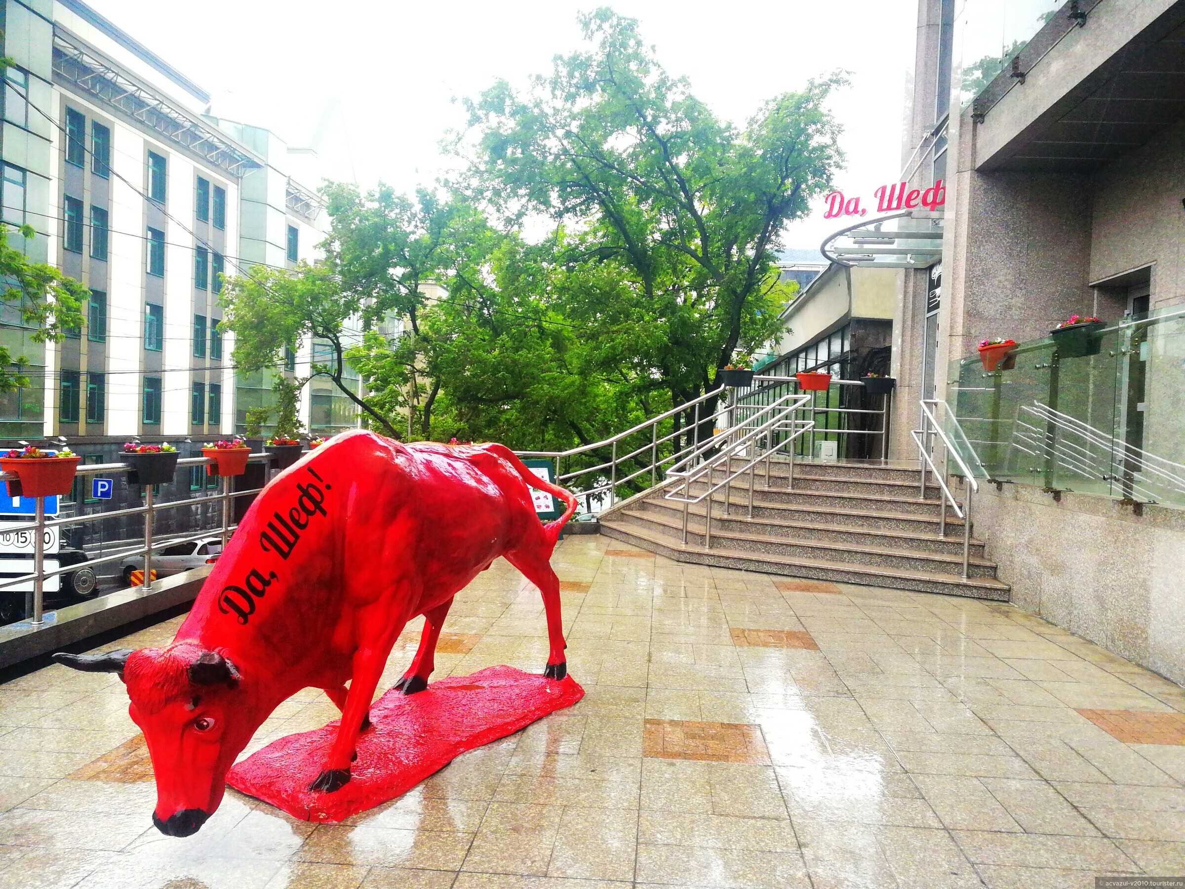 Гуляем по миллионке: загадочный чайна-таун в центре владивостока