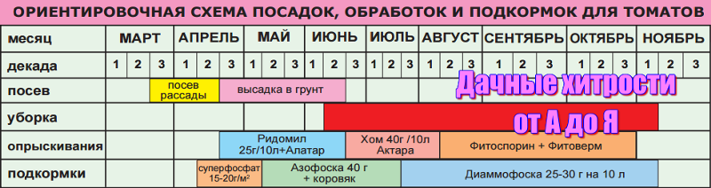 Квартал – это сколько месяцев — 3 или 4? простое объяснение