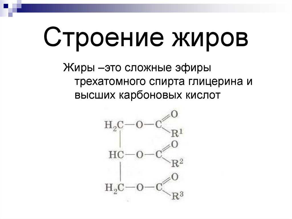 Аквамация: альтернативы захоронению и кремации домашних животных - владение домашними животными - 2024