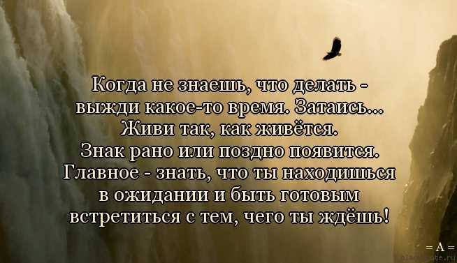 Новосел «умного» города мария шевелева: «в иннополисе вся жизнь строится через telegram» « бнк