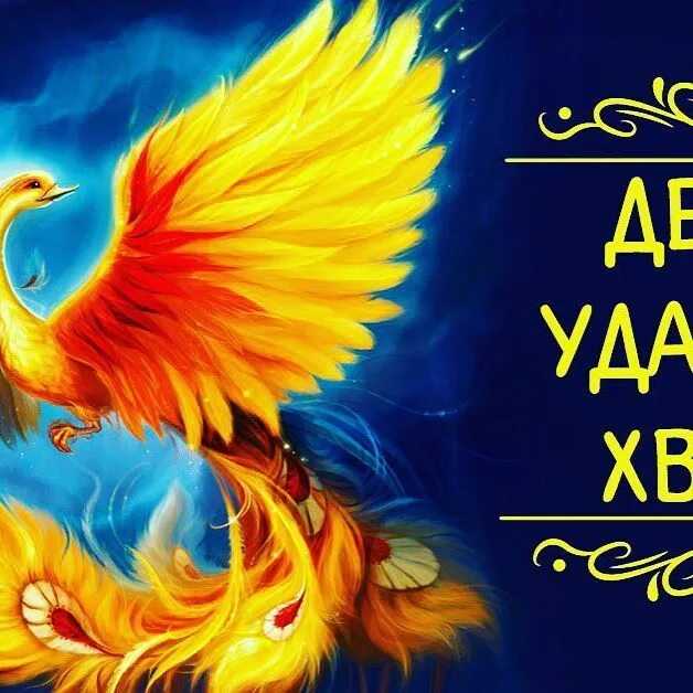 Как работает нейронная сеть: разбираемся с основами
