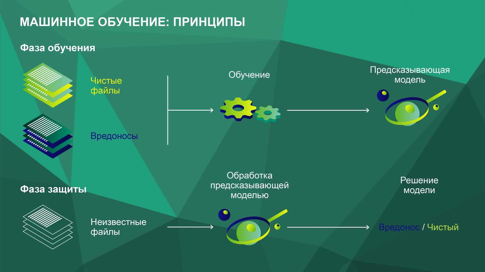 Какие языки самые популярные?