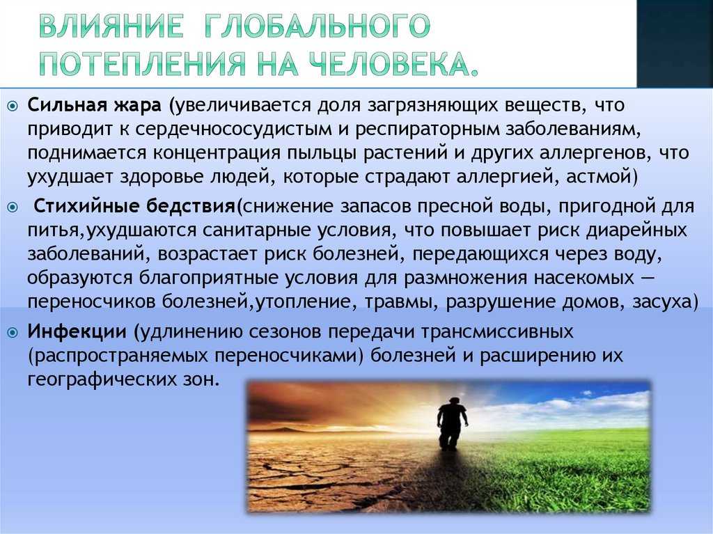 Кто виноват и что делать