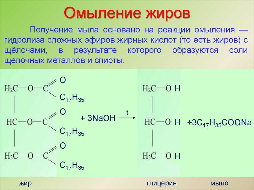 Экологичные захоронения домашних животных | уход за собаками 2024