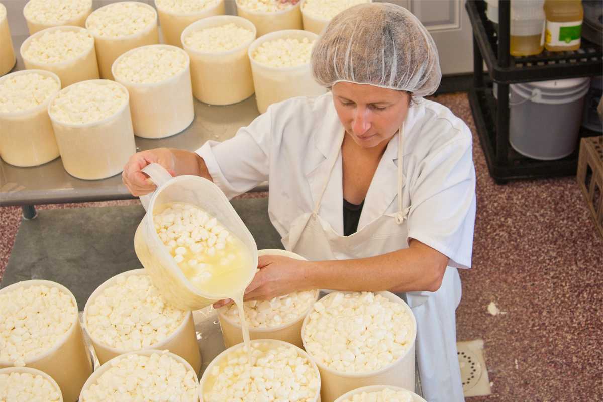 Мини сыроварня как домашний бизнес с нуля