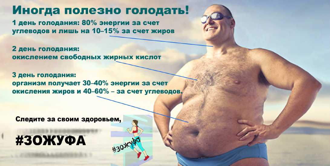 Рынок альтернативного белка в россии — бизнес россии