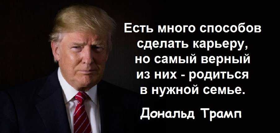 Дональд трамп. история успеха американского миллиардера