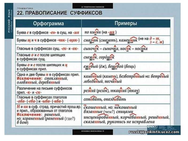 Почему нам всем стоит почаще гулять в лесу