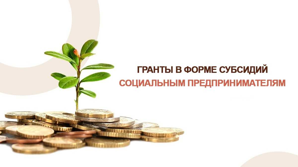 Я — молодой предприниматель. как получить грант на бизнес? | делобанк