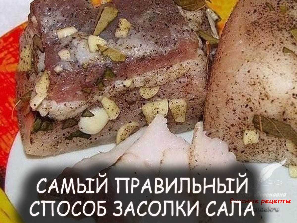 Экспорт чата в whatsapp, что это, и зачем нужна эта опция