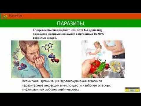 Школьные обеды в европе: на первое личинки, на второе опарыши