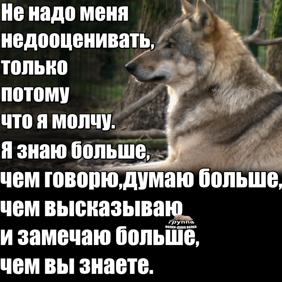 Что делать, если взломали телефон: пошагово