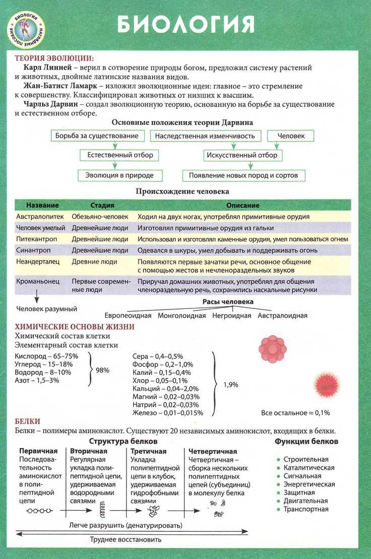 Скрытое заимствование в лексике | о жизни слов