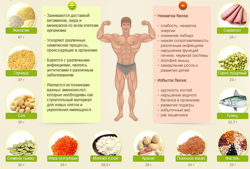 40 продуктов, богатых протеином - dailyfit