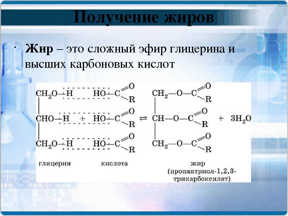 Как провести похороны с заботой об экологии