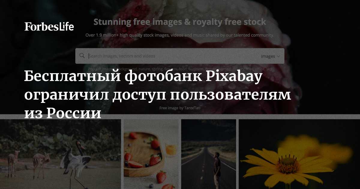 Фотодженика - photogenica - фотобанк - cnews