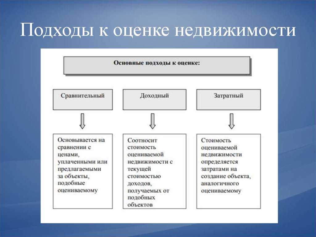 Как казахстанцы создали в сингапуре ai-стартап с оценкой в $3,5 млн