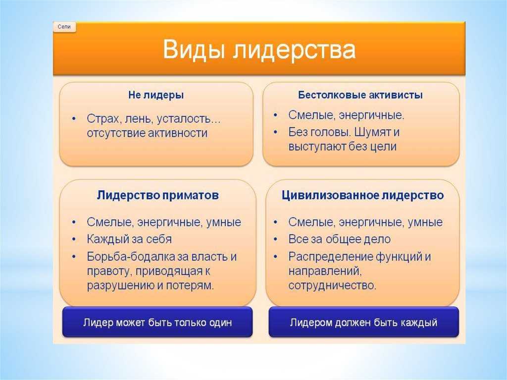 Лидерство