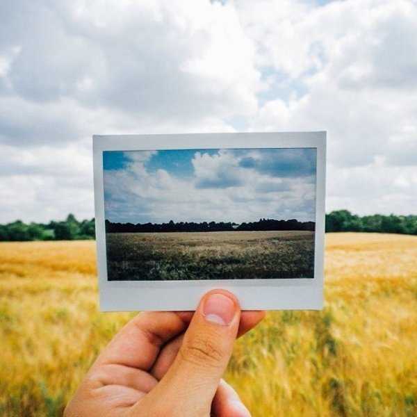 Своё дело: предприниматель в жизни и в бизнесе : легендарный бренд: polaroid вчера, сегодня и завтра