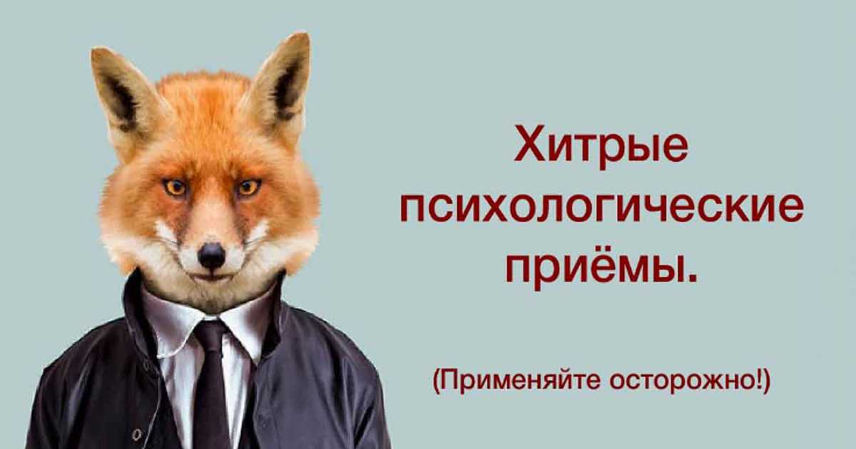 Позитивное и негативное подкрепление в психологии с примерами