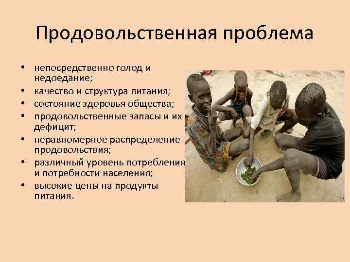Голод 2023-2024 годов: причины, последствия и возможные решения