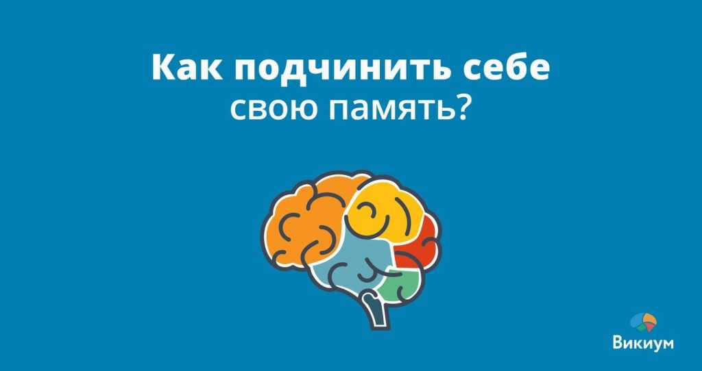 20 примеров социальных явлений - энциклопедия - 2024