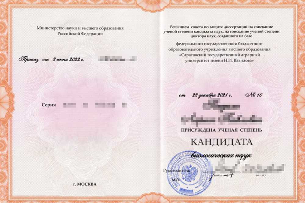 Неоценимый вклад: важность и значение в разных сферах жизни