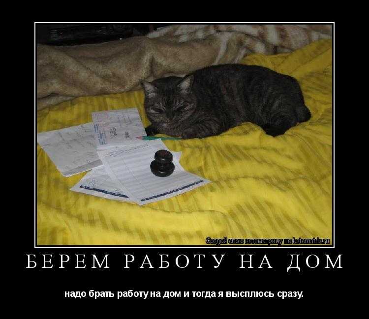 Тнт как заработать первый миллион: как люди зарабатывают свой первый миллион
