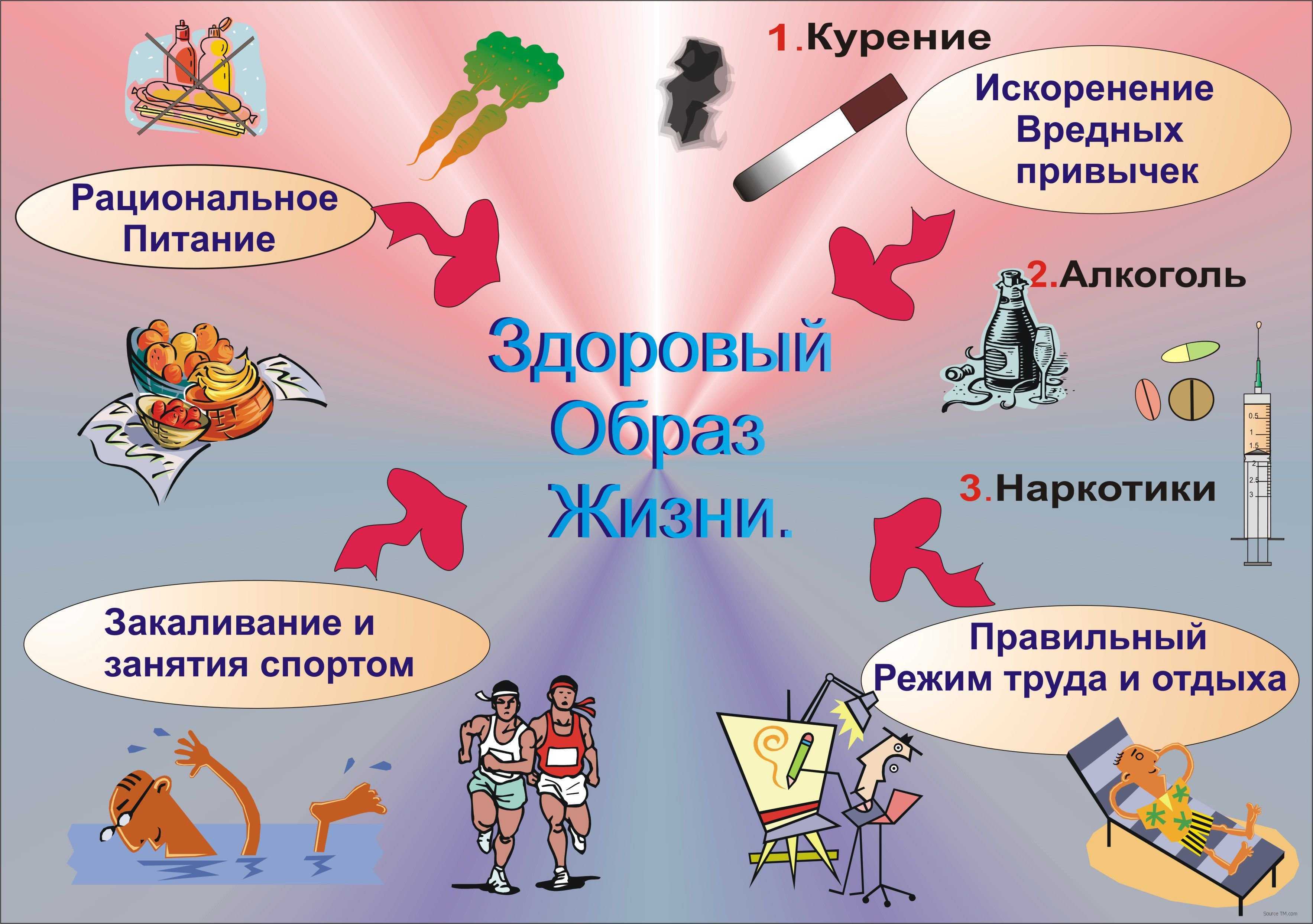 Здоровый образ жизни - понятие, составляющие 