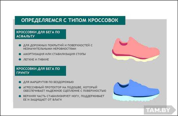 Трекшн в стартапе: все, что нужно знать