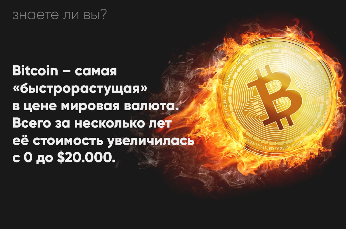 Главные криптовалюты в 2022 / skillbox media