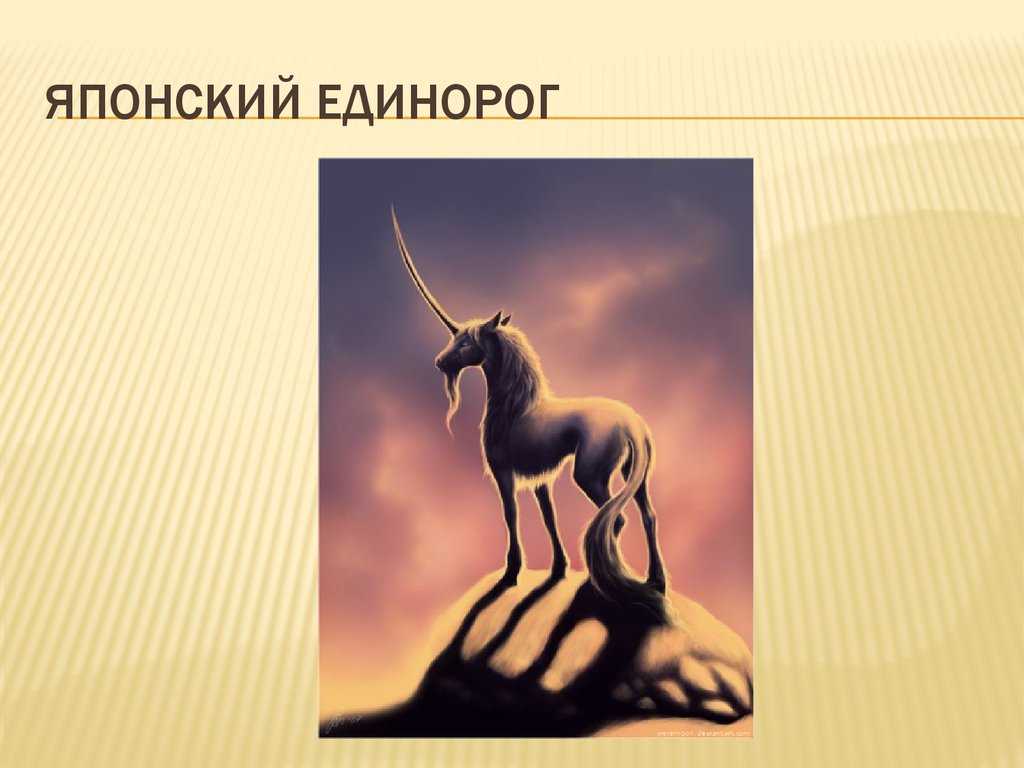 Что такое стартап единорог