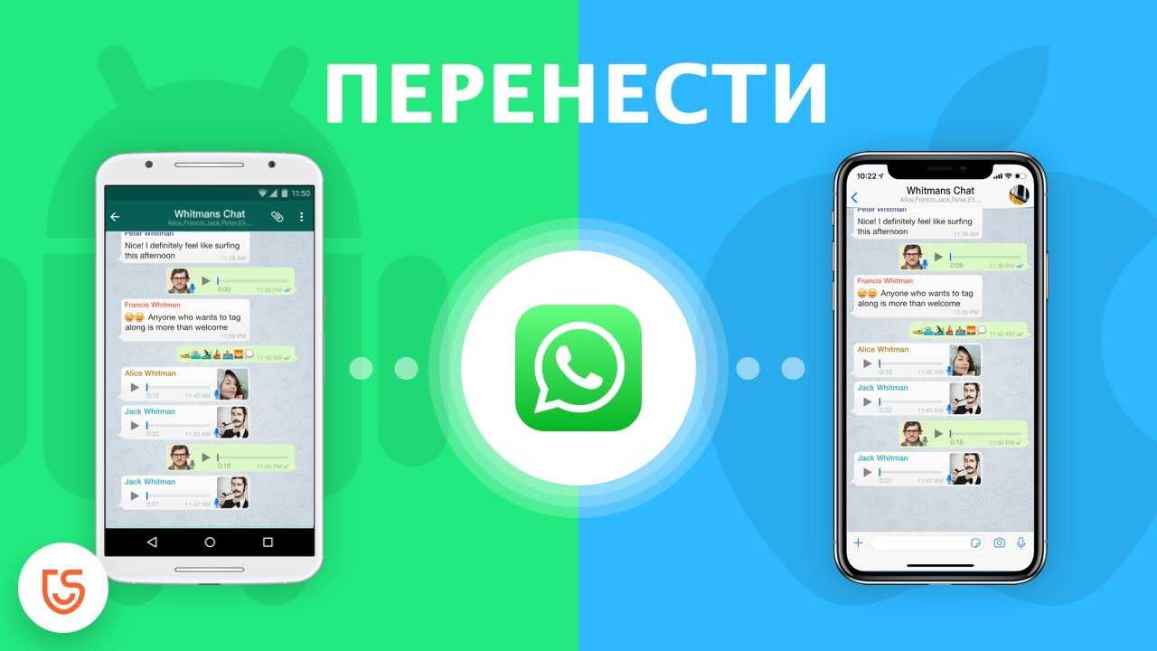Перенос whatsapp с android на iphone сохранив переписку