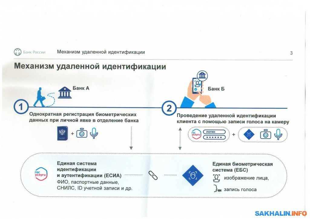 Цифровизация банков: в чем заключается процесс цифровизации банков
