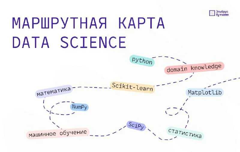 Как лесовосстановление помогает глобальному потеплению?