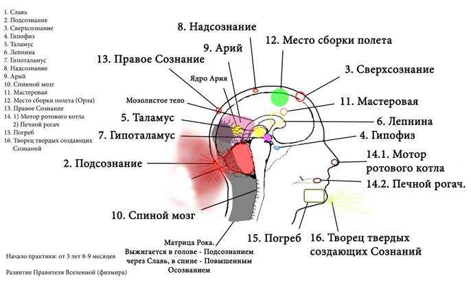 10 принципов эффективного обучения и преподавания от исследователя мозга джона медины