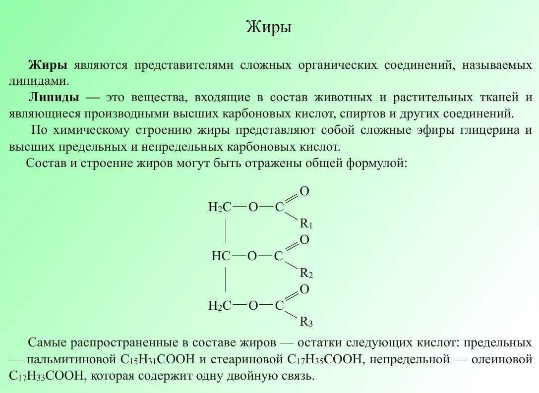 Как провести похороны с заботой об экологии