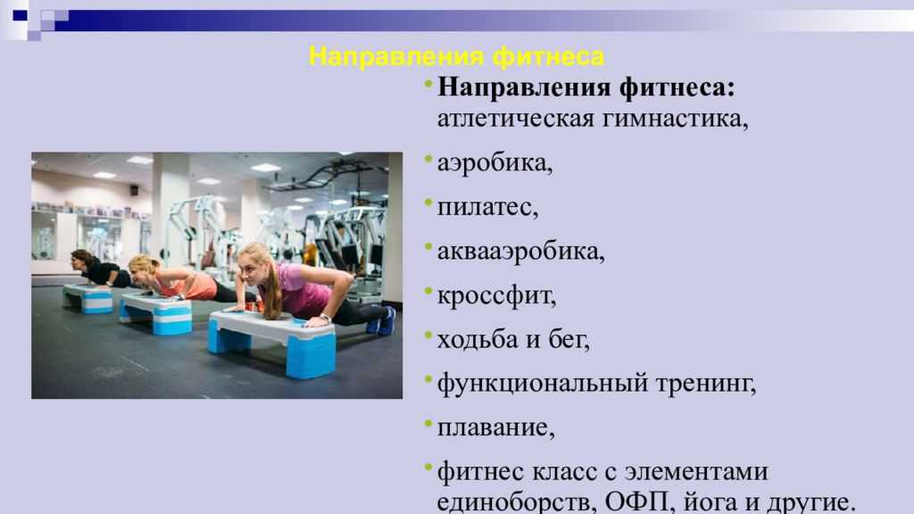 Предпринимательство в индустрии спорта: направления, инновации и формы поддержки