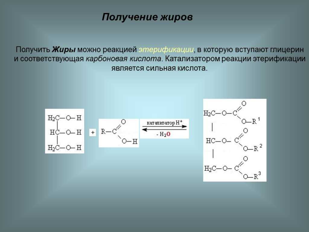 Почему кремация практичнее, чем обычное захоронение