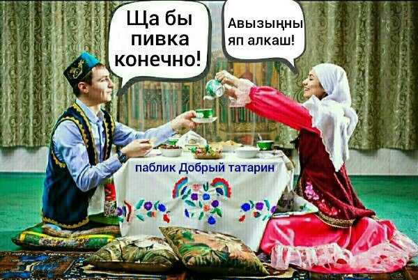 Стикеры гусь- за мат кусь для вконтакте | вк бесплатно